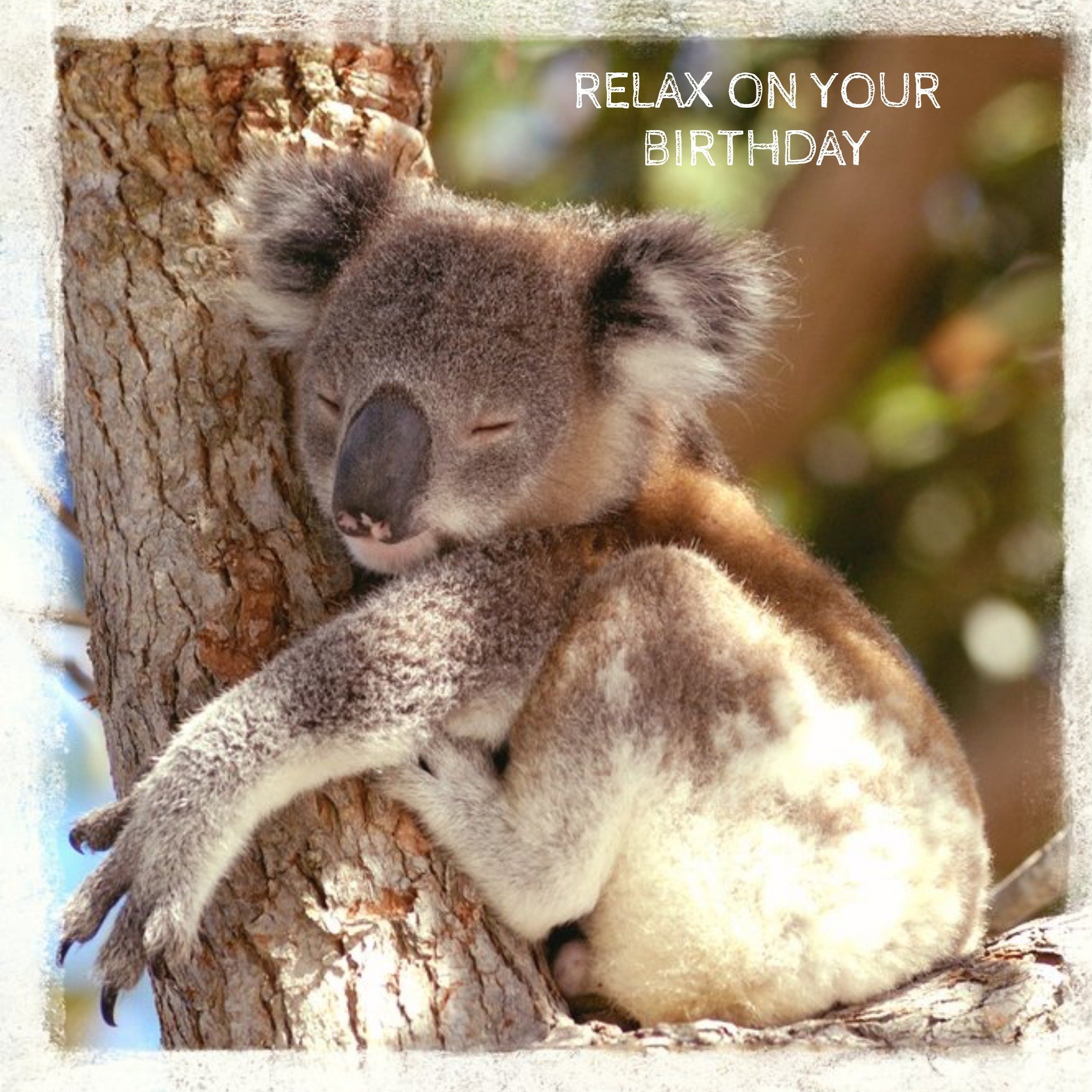 Moonpig Relax On Your Birthday Koala Personalised Happy Birthday Card