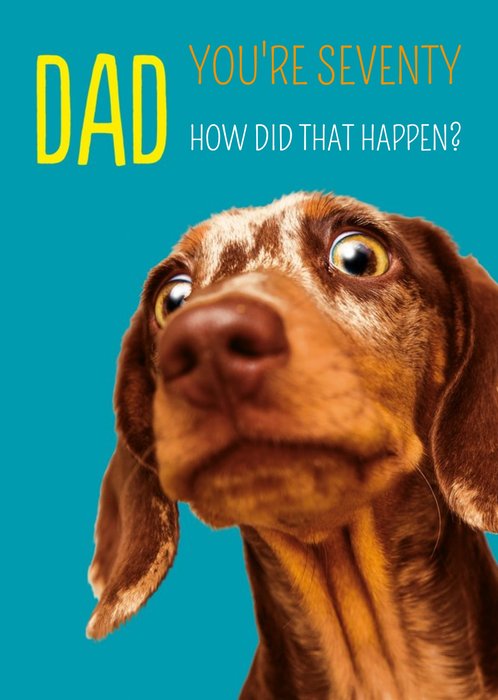 Fun Sausage Dog Dad Birthday Card