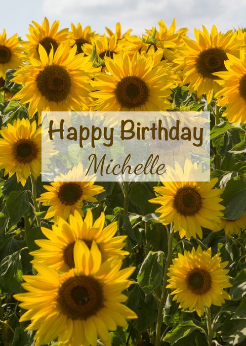 Alex Sharp Photography Sunflowers Birthday Card