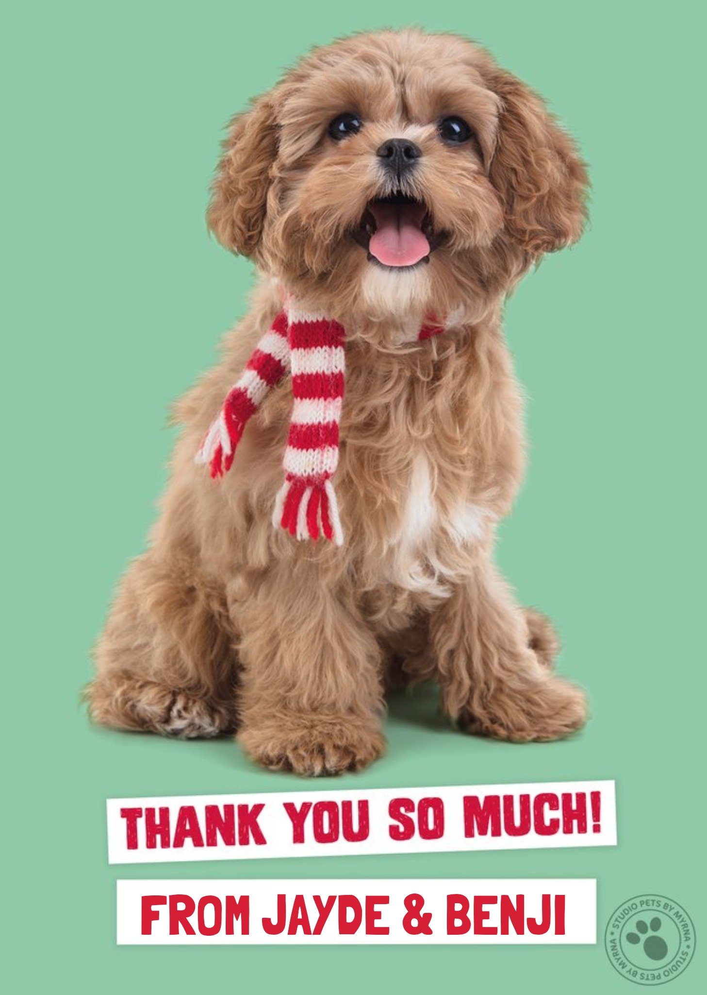Studio Pets Christmas Card Thank You So Much