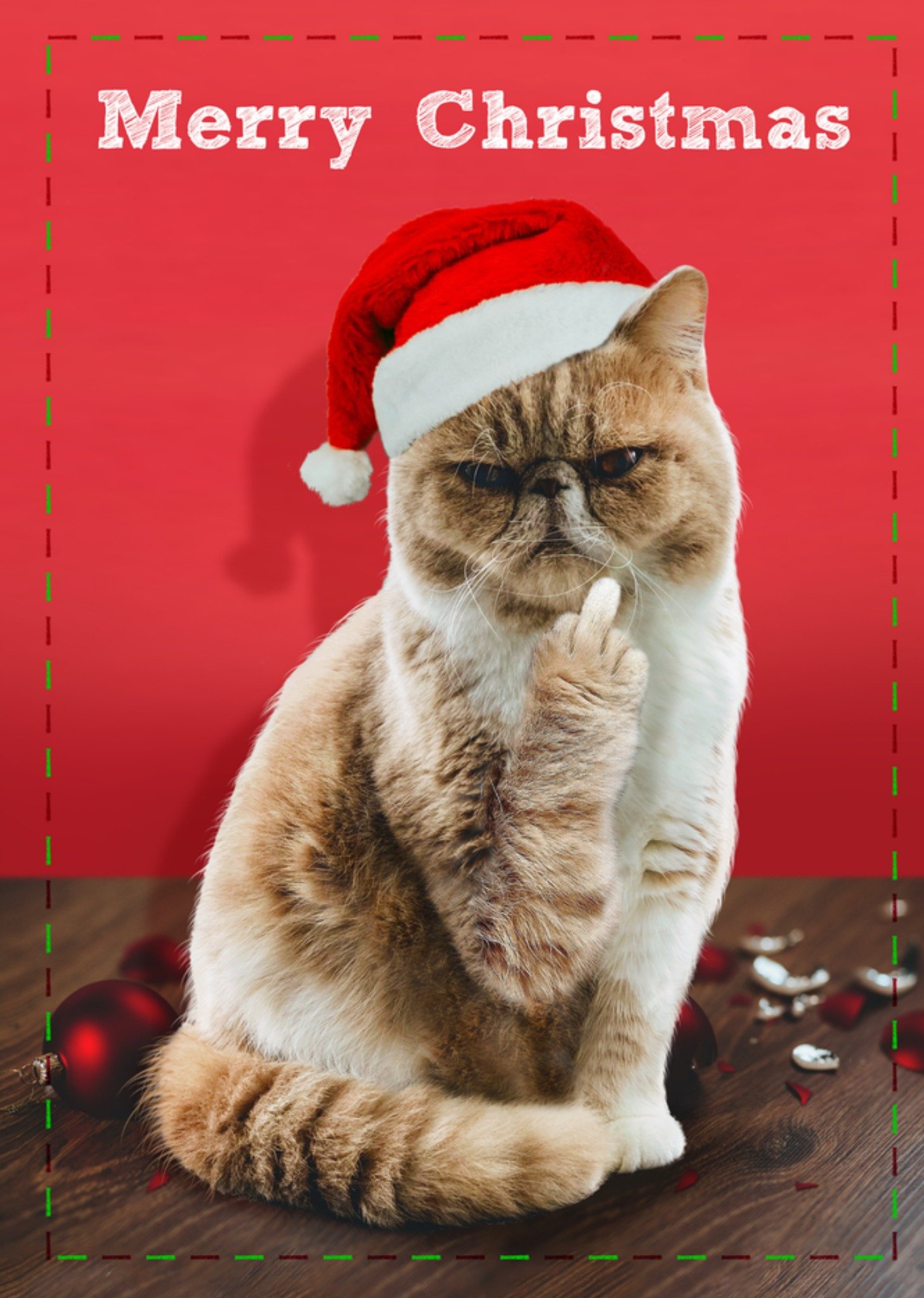 Moonpig Rude Swearing Cat Christmas Card