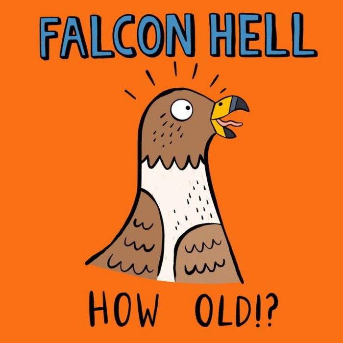 Falcon Hell How Old Falcon Illustration Card