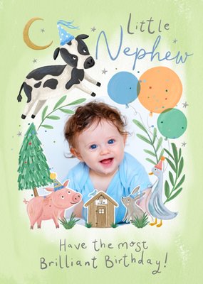 Little Nephew Have The Most Brilliant Birthday Illustrated Animals Photo Upload Card