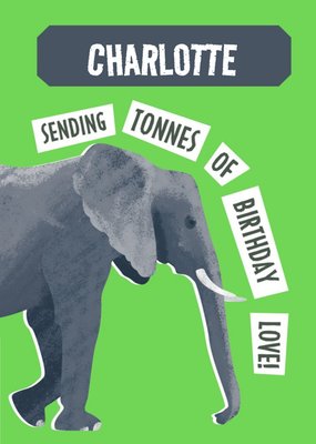 Natural History Museum Sending Tonnes Of Birthday Love Elephant Birthday Card