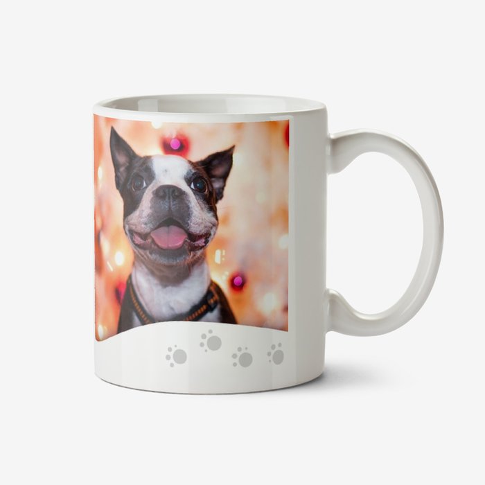 Merry Christmas From Dog Photo Upload Mug