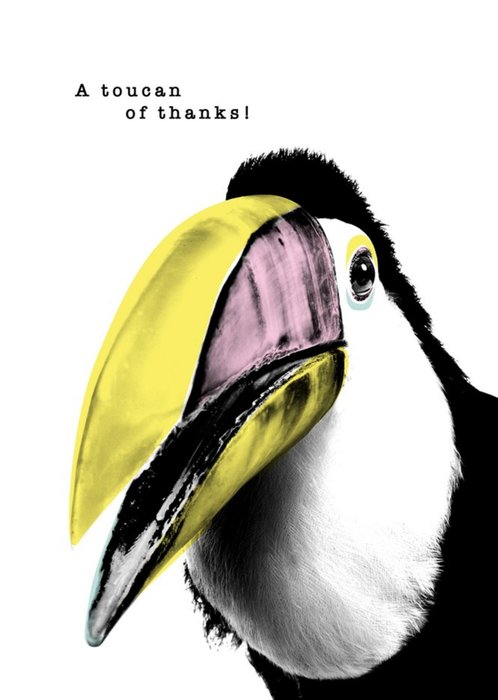 Modern Design A Toucan Of Thanks Card