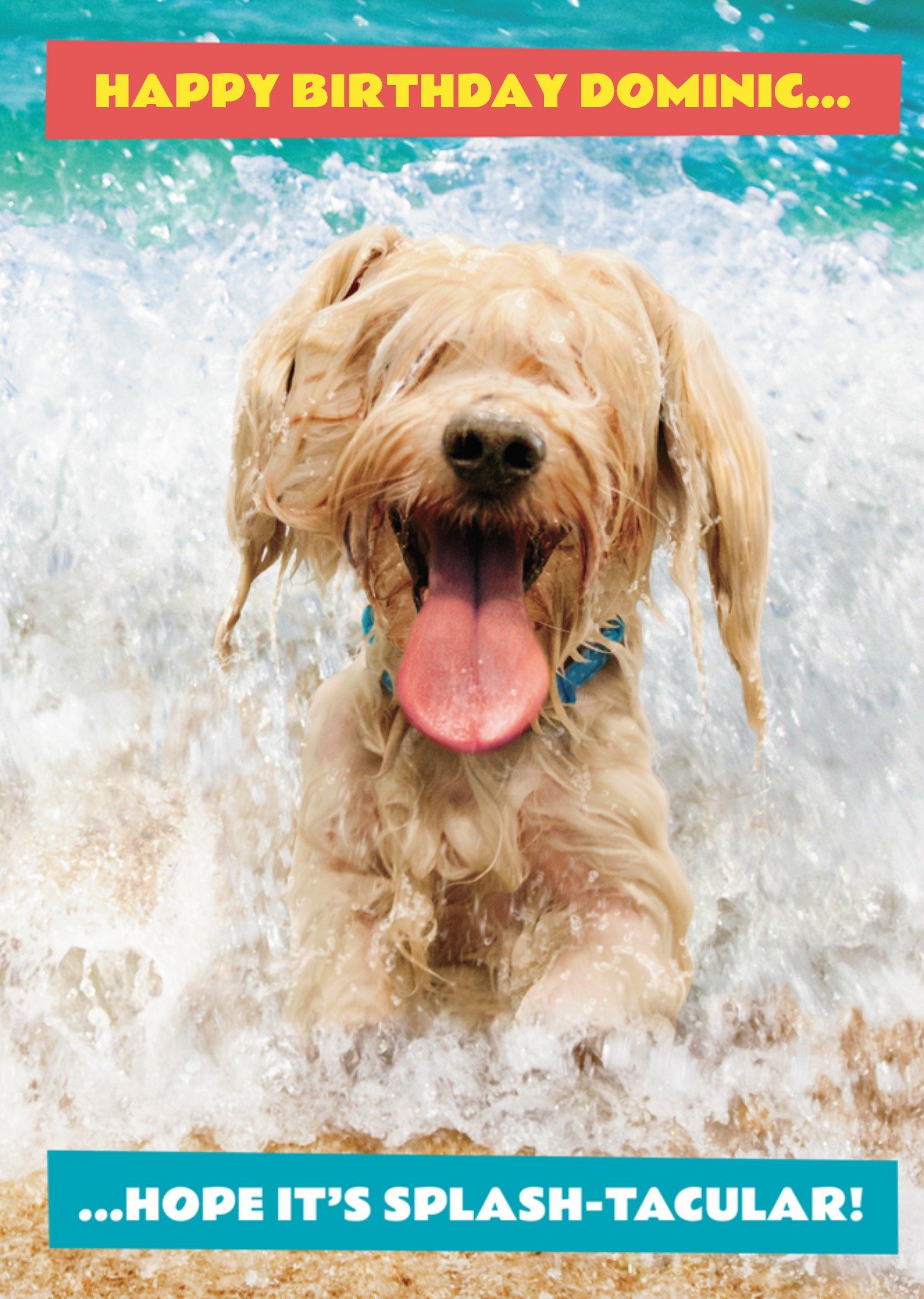 Moonpig Avanti Splash Tacular Funny Swimming Dog Birthday Card, Large
