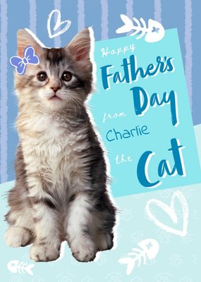 Animal Planet Cute From The Cat Father's Day Card
