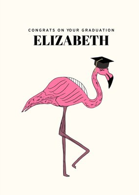 Flamingo Graduation Congratulations Card