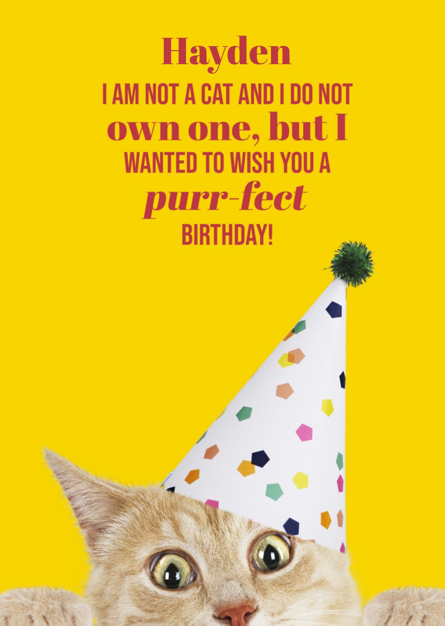 Moonpig I Wanted To Wish You A Purrfect Birthday Card, Large
