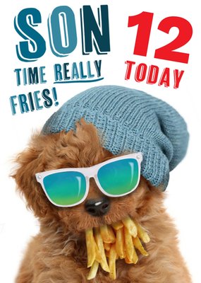 Punny Son Time Really Fries 12 Today Cool Dog With Fries Birthday Card