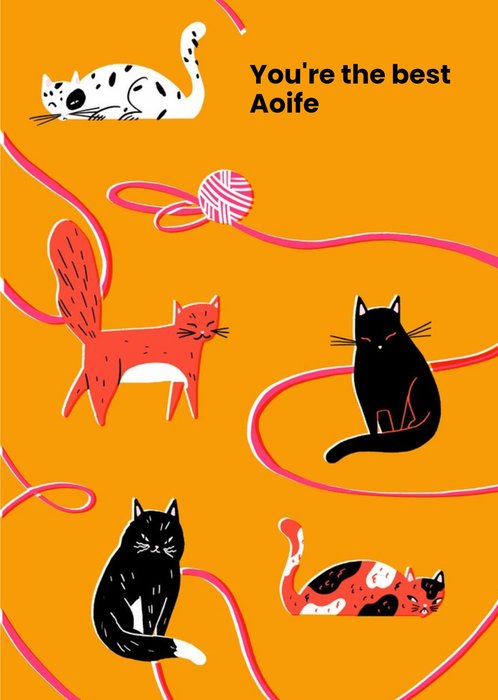 Cute Illustration of Cats playing with Yarn ball You're The best Card