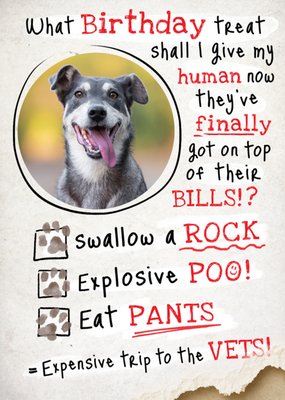 From The Dog Photo Upload Birthday Card