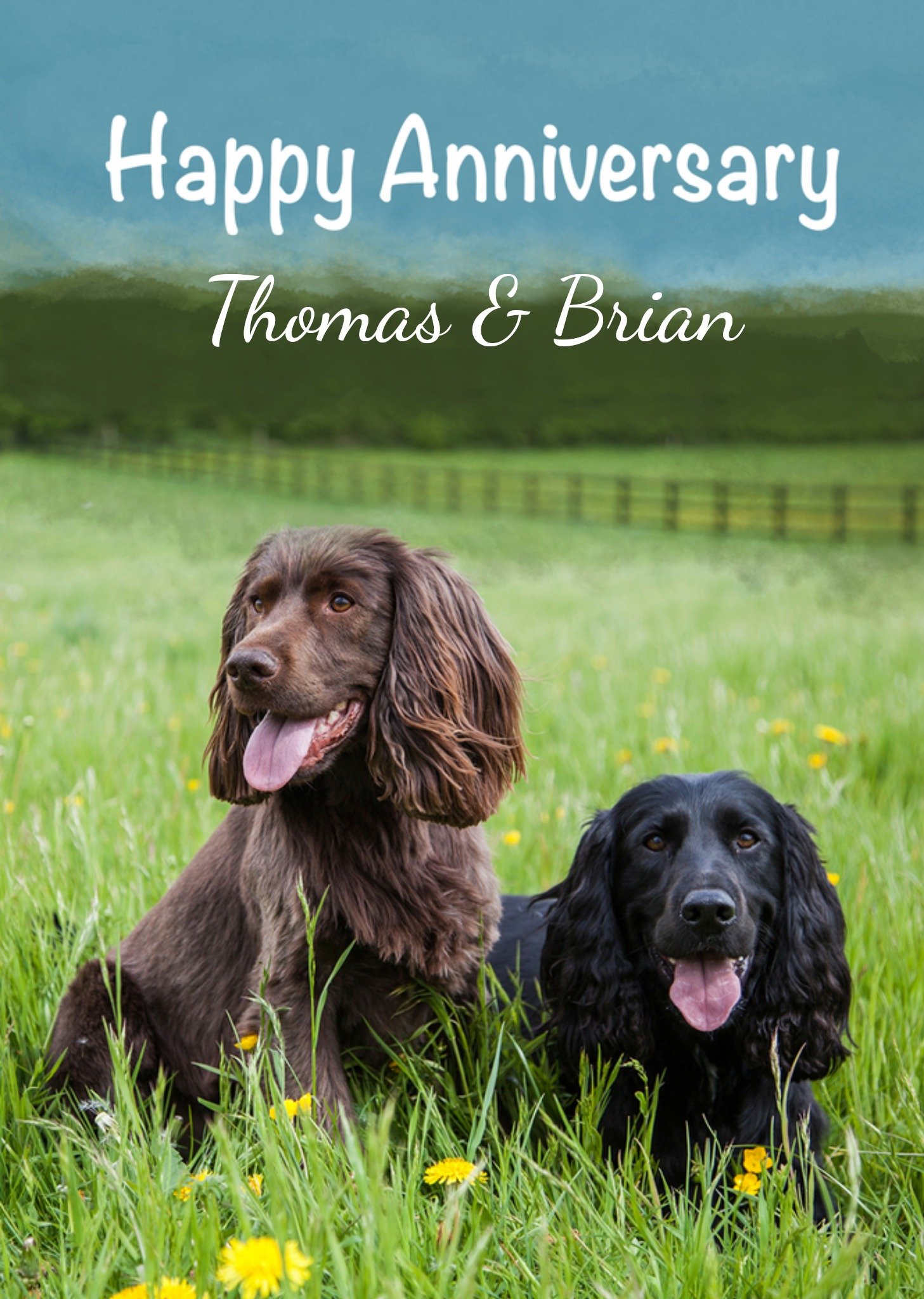 Moonpig Alex Sharp Photography Spaniel Dogs In The Grass Anniversary Card Ecard