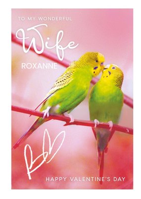 Animal Planet Budgerigar Wonderful Wife Valentine's Day Card