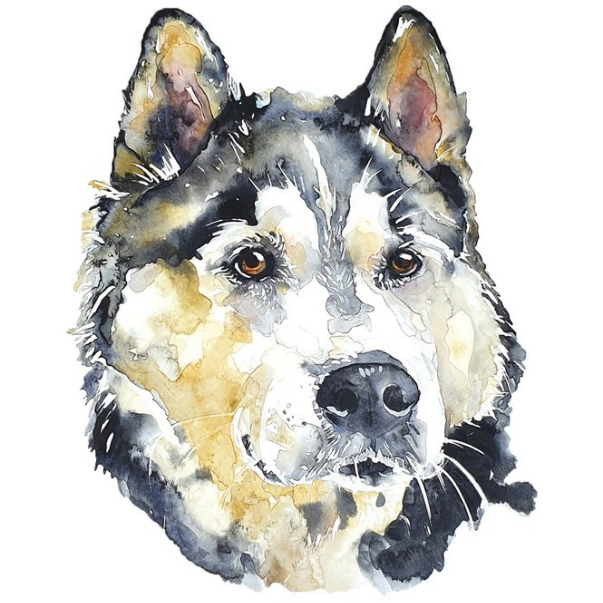 Moonpig Illustrated Watercolour Dog Siberian Husky Just A Note Card