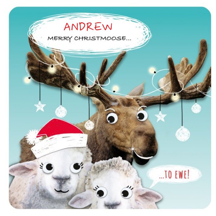 Personalised Merry Christmoose Funny Pun Christmas Card