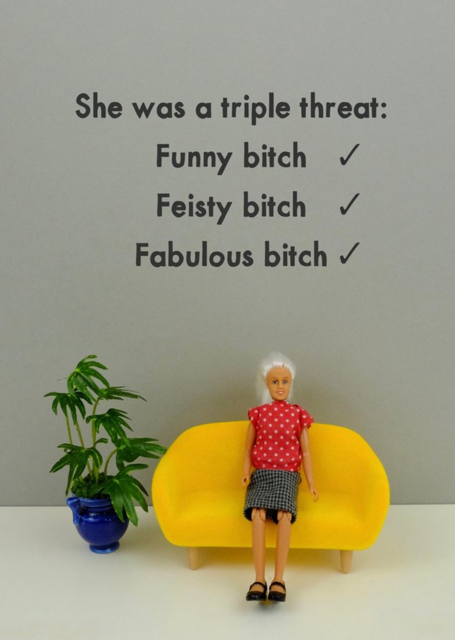 Friends Bold And Bright Funny Photo Image Feisty Bitch Birthdays Card