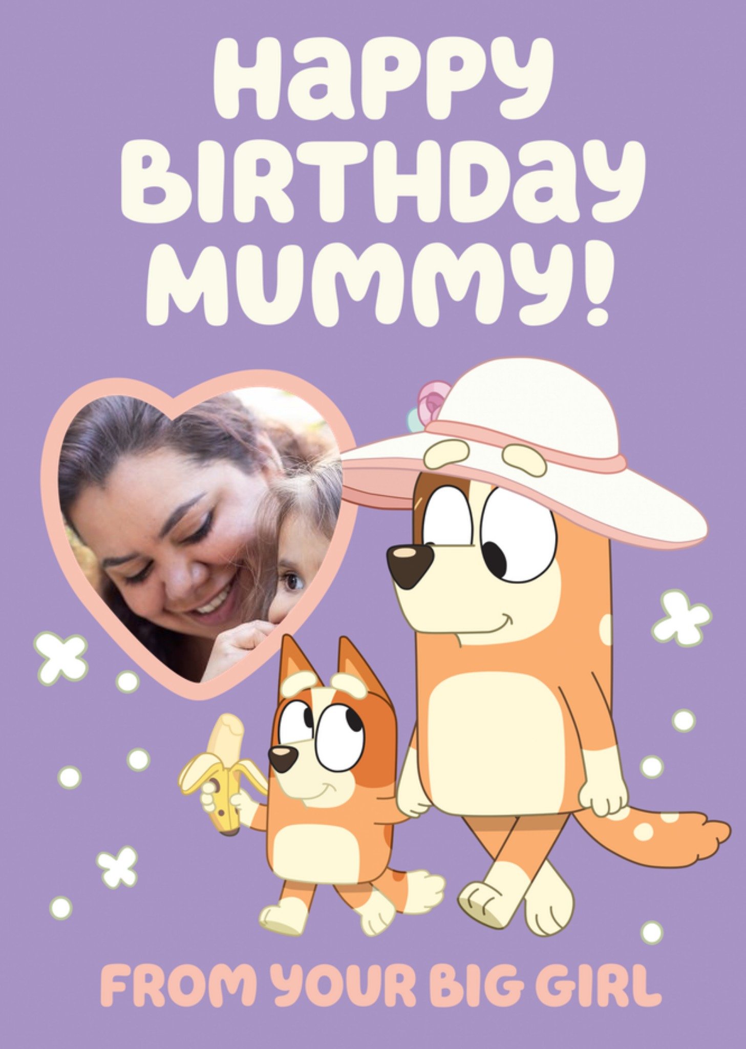 Bluey Bingo And Chilli From Your Big Girl Photo Upload Birthday Card