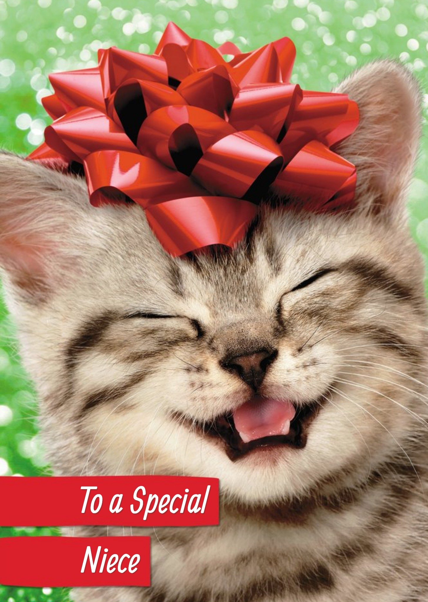 Moonpig Cute Kitten Niece Christmas Card