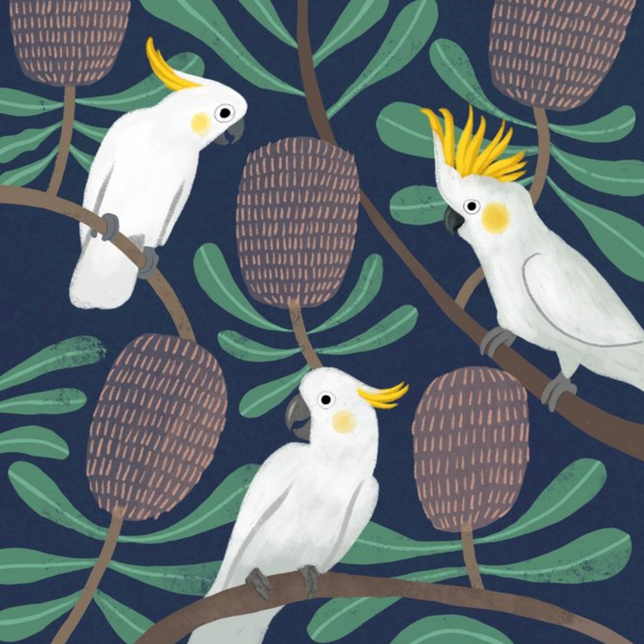 Friends Cat Macinnes Illustration Birds Australia Just A Note Card