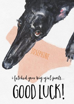 Funny Greyhound Watercolour Illustration Big Girl Pants Good Luck Card