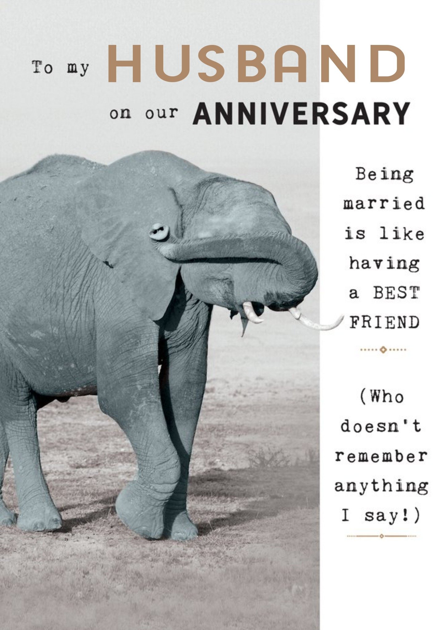 Moonpig Humorous Photographic Elephant Editable Husband Anniversary Card
