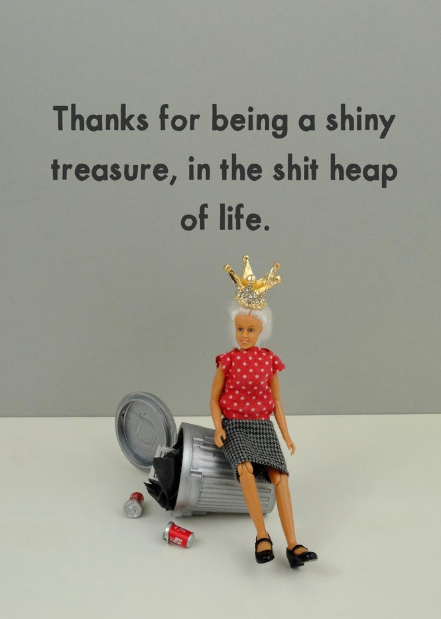 Bold And Bright Funny Photographic Image Of A Doll Wearing A Crown Sitting On A Dustbin Shit Heap Of