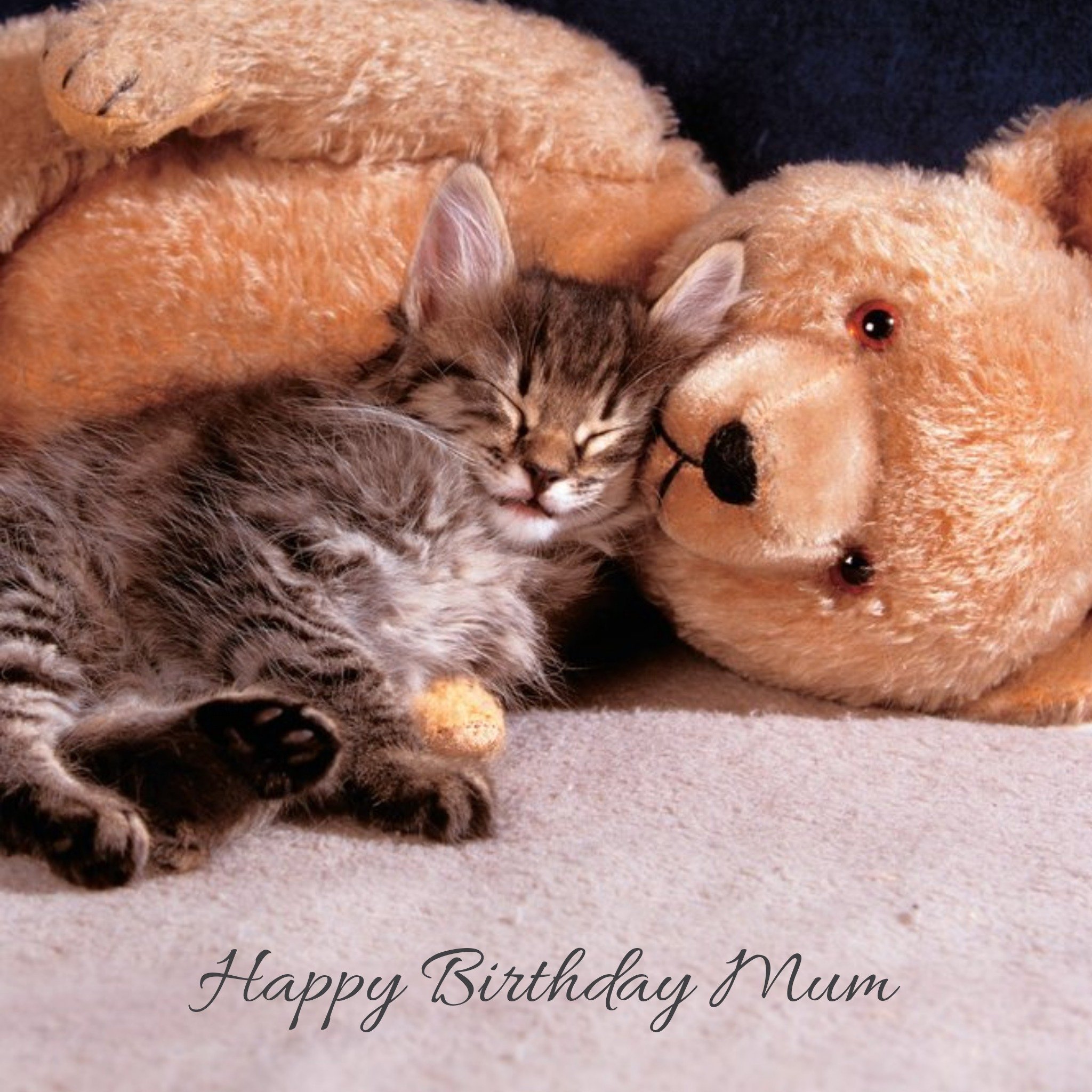 Moonpig Snuggling Teddy Bear And Cat Happy Birthday Mum Card