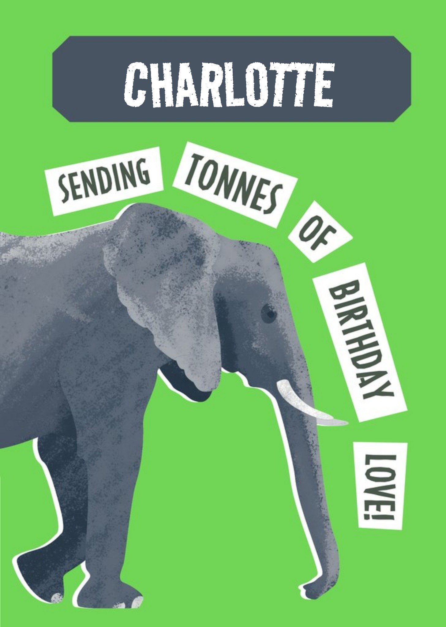 The Natural History Museum Natural History Museum Sending Tonnes Of Birthday Love Elephant Birthday 