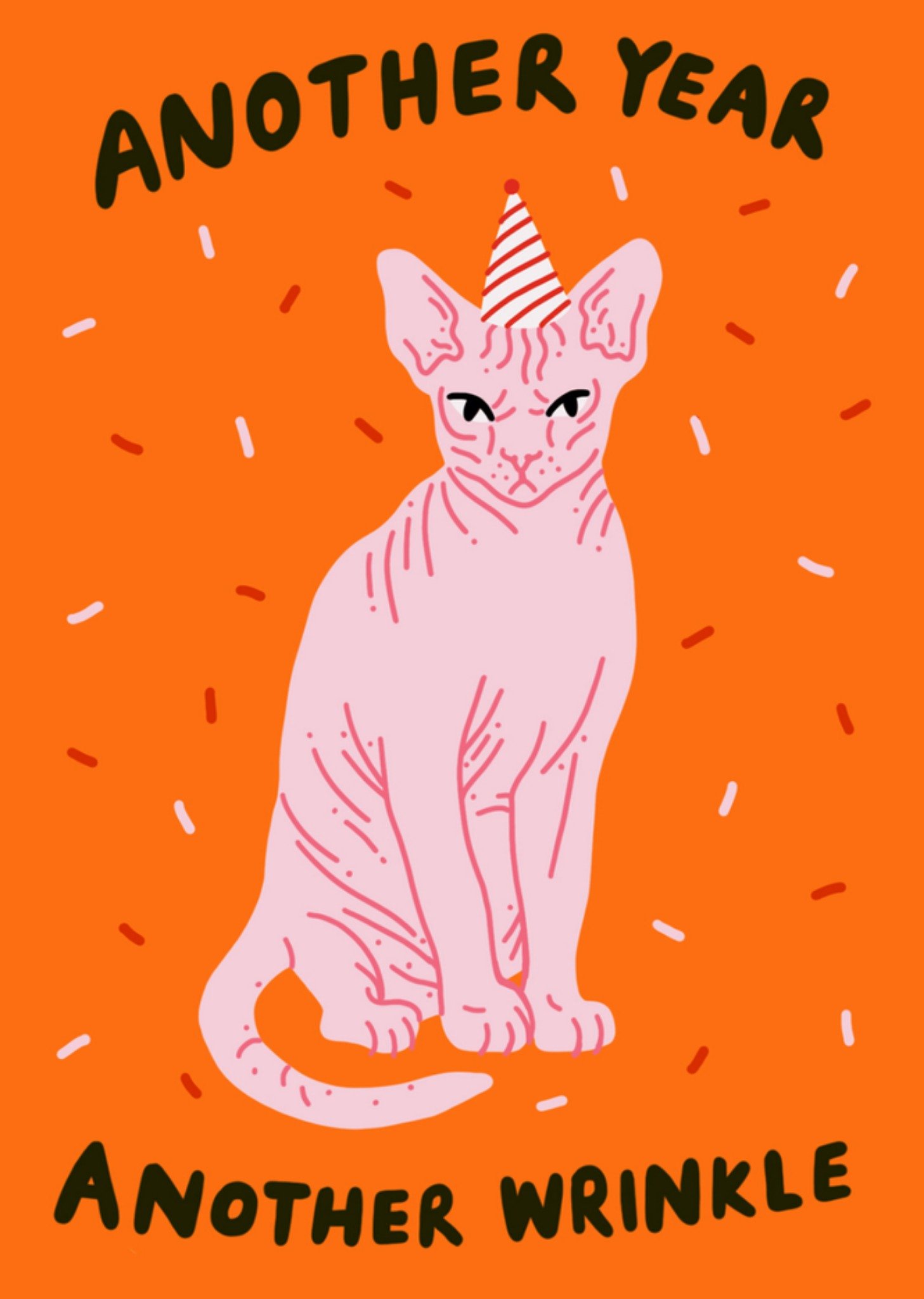 Jolly Awesome Funny Another Year Another Wrinkle Cat Birthday Card