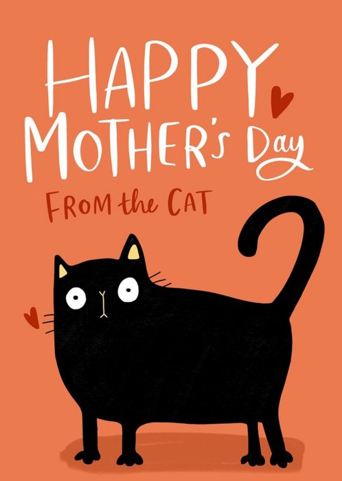 Happy Mother's Day From The Cat Card