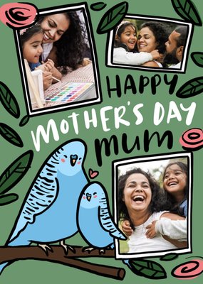 Fuzz Face Cute Budgie Mother's Day Photo Upload Card