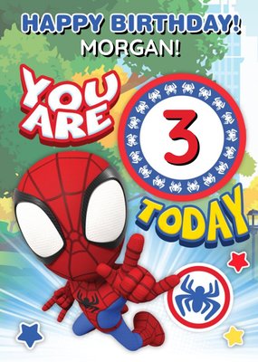 Spidey and Amazing Friends Age Birthday Card
