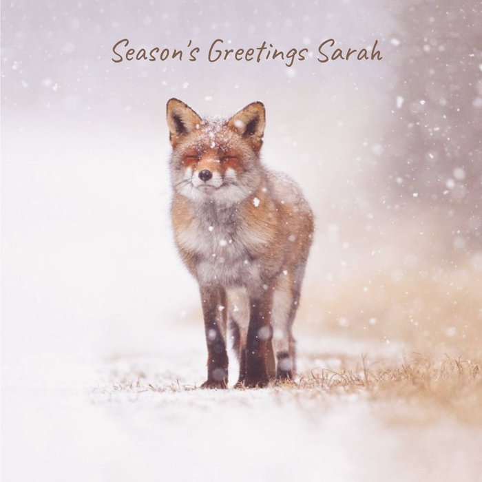 Fox In The Snow Personalised Square Christmas Card