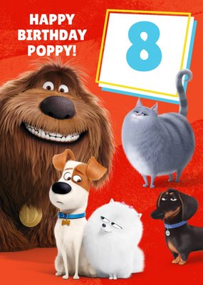 Universal Secret Life Of Pets 2 Happy 8th Birthday Card