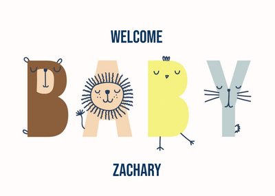 Welcome Baby Postcard