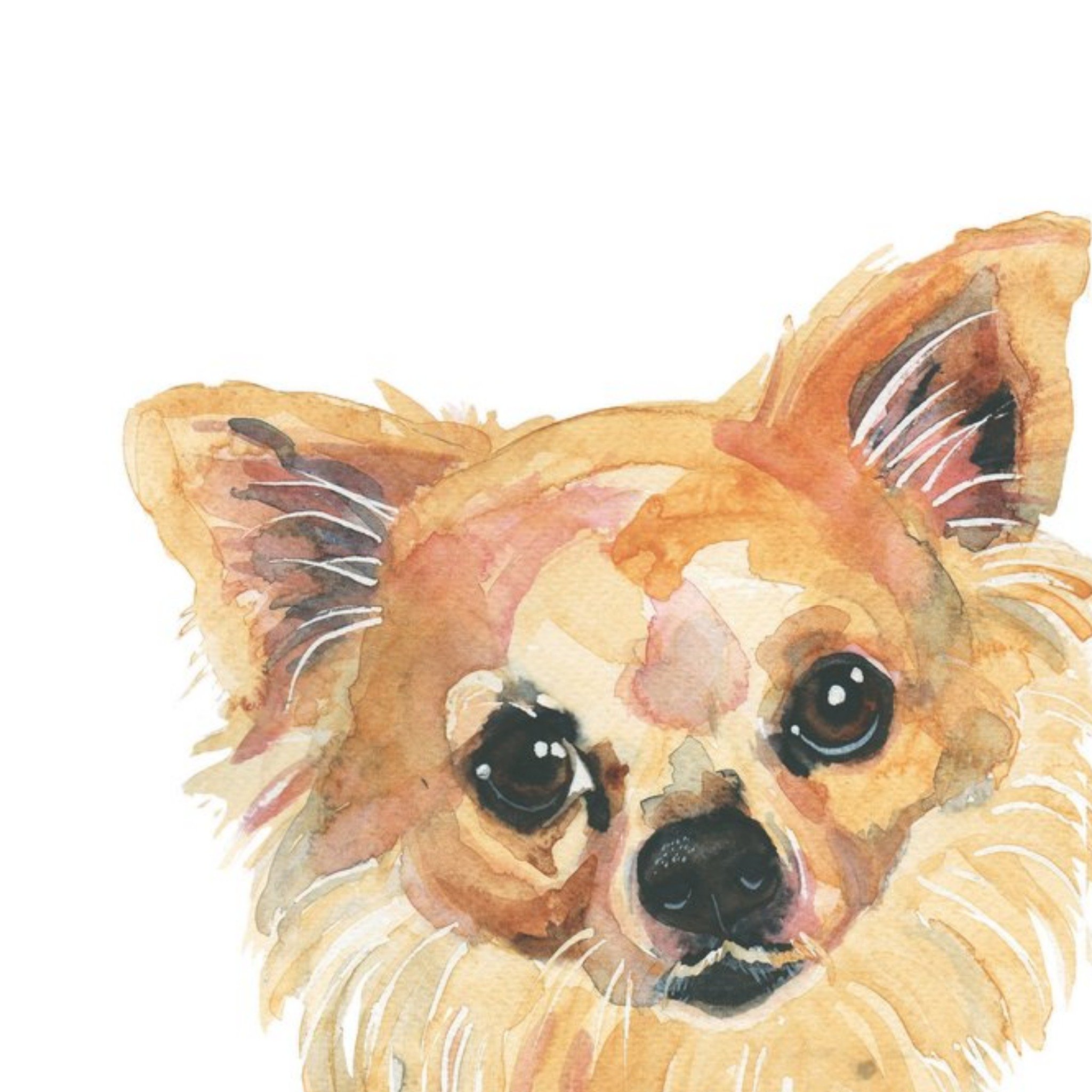 Moonpig Illustrated Watercolour Chihuahua Dog Just A Note Card