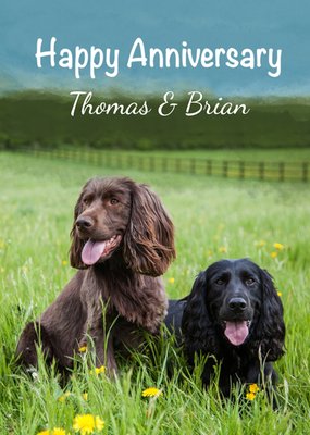 Alex Sharp Photography Spaniel Dogs In The Grass Anniversary Card