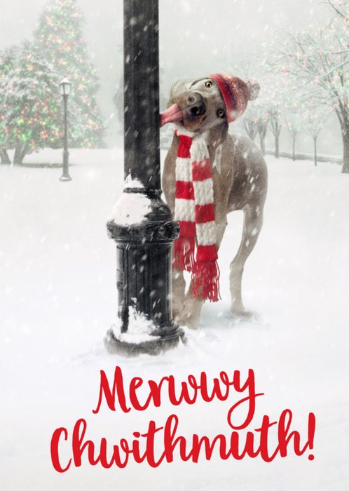 Cute Funny Dog Tongue Stuck On Ice Pole Christmas Card