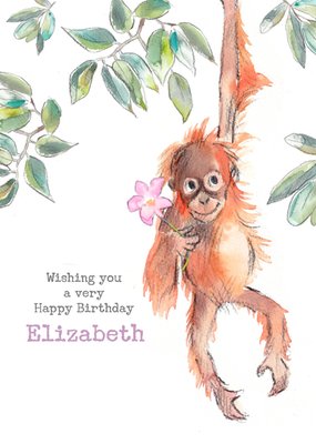 Orangutan Birthday Card