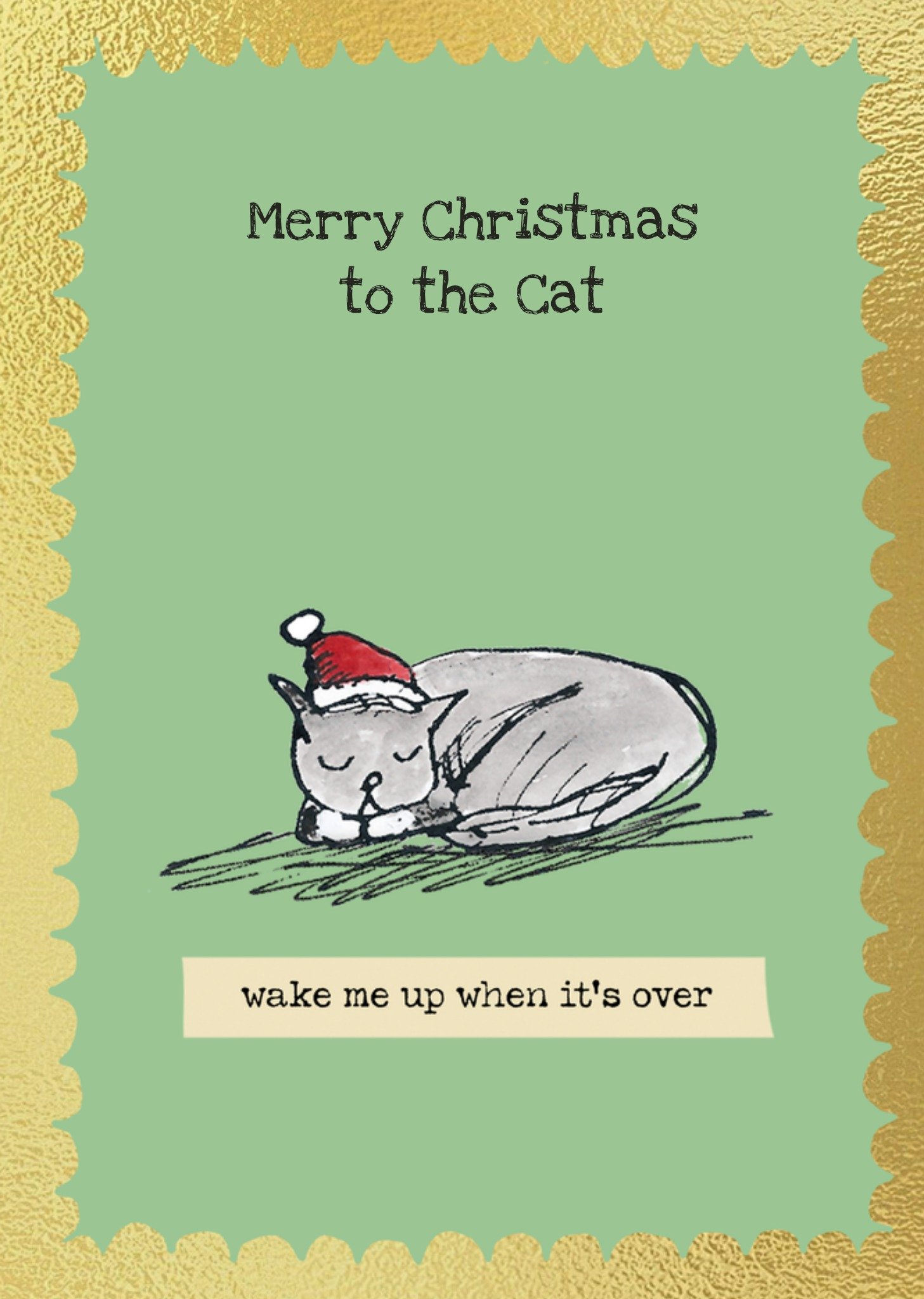 Moonpig Funny Sleeping Cat Illustration Christmas Card