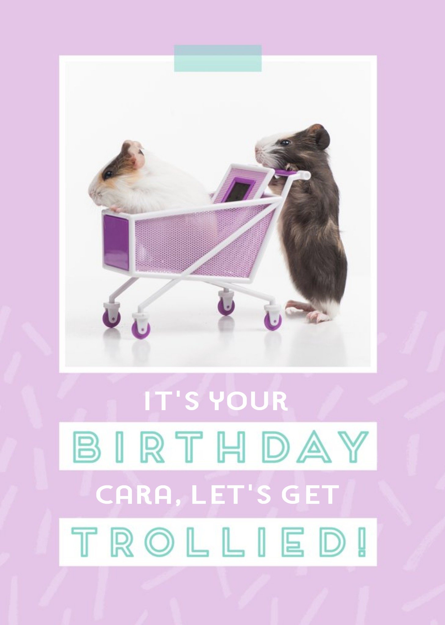 Moonpig Let's Get Trollied - Guinea Pig - Birthday Card