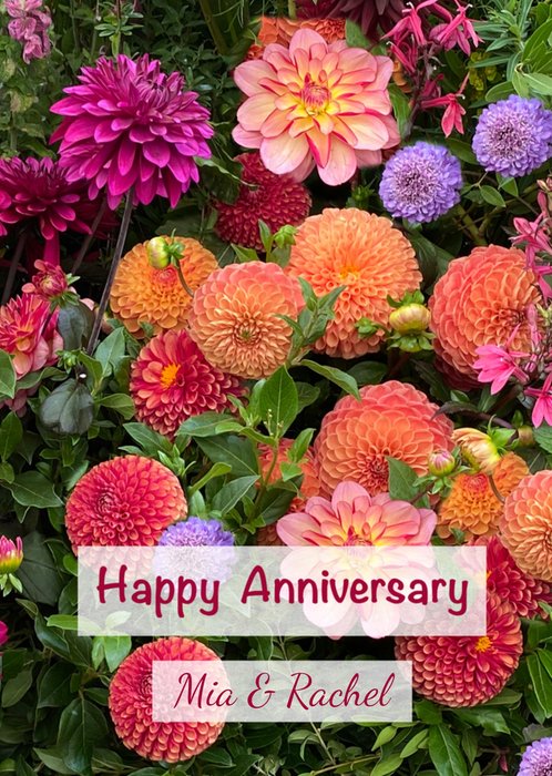 Alex Sharp Photography Dahlia Flowers Anniversary Card