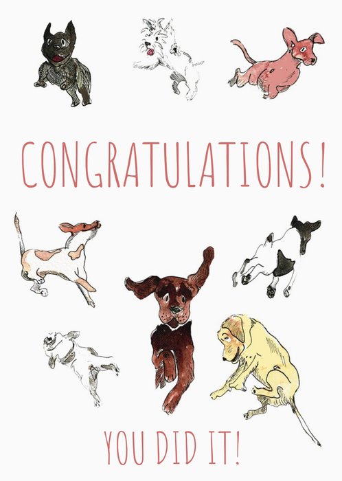 Watercolour Illustration Multiple Dogs Congratulations Card