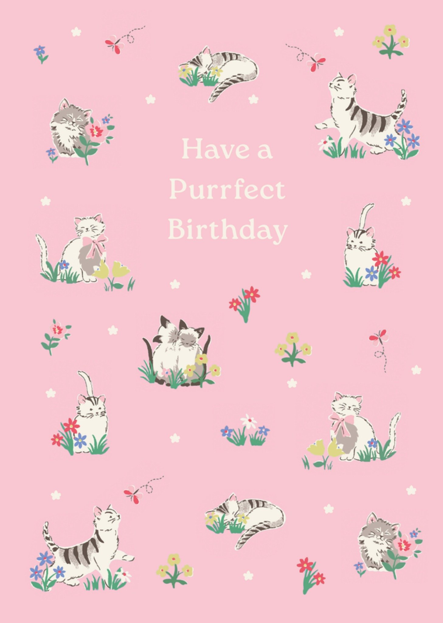 Cats Illustrated Cath Kidston Birthday Card