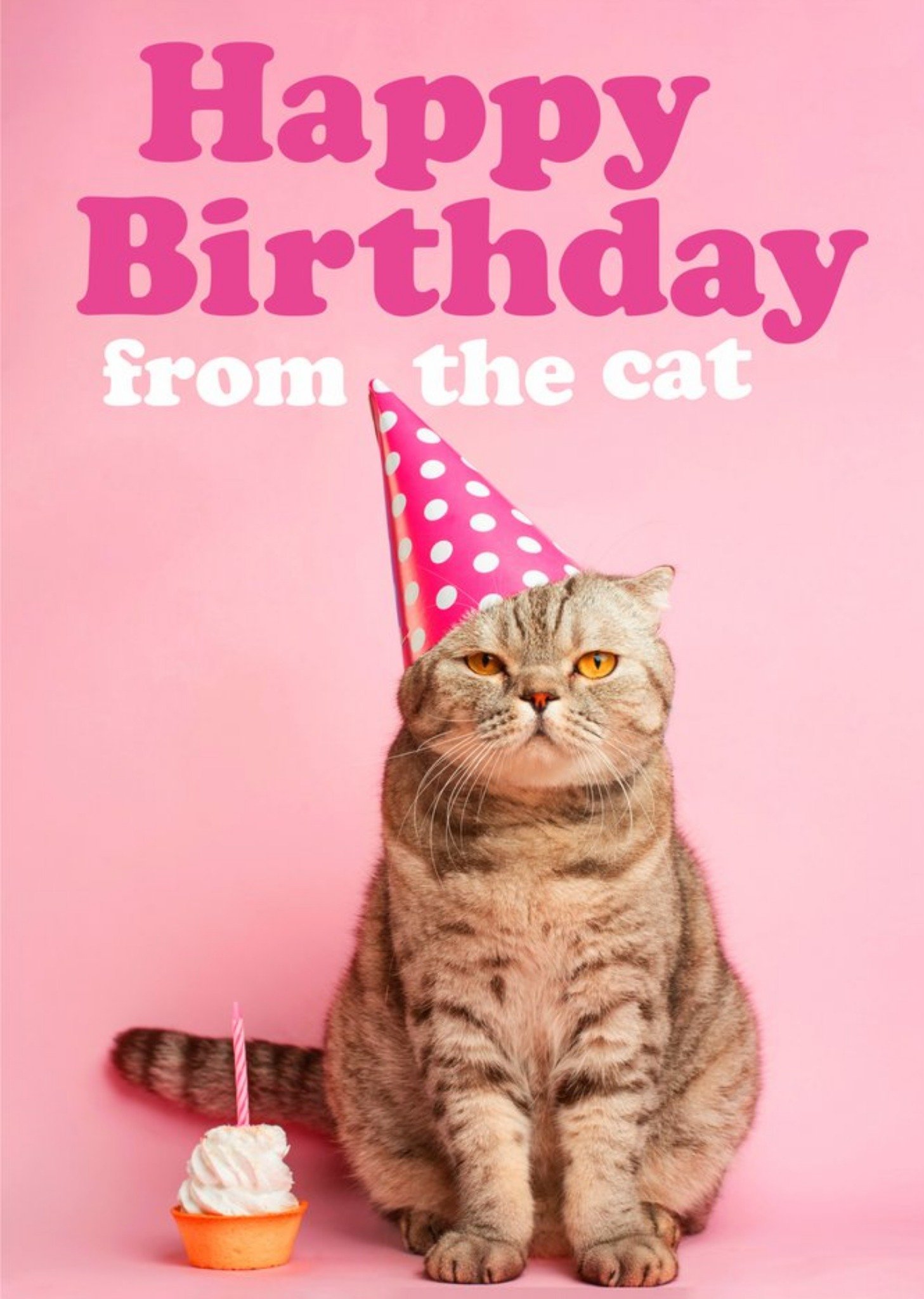 Moonpig Funny Happy Birthday From The Cat Card