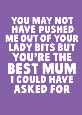 You May Not Have Pushed Me Out of Your Lady Bits but… Mother's Day Card