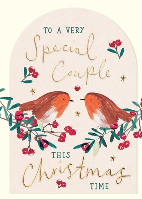 A Very Special Couple Illustrated Robin Christmas Card