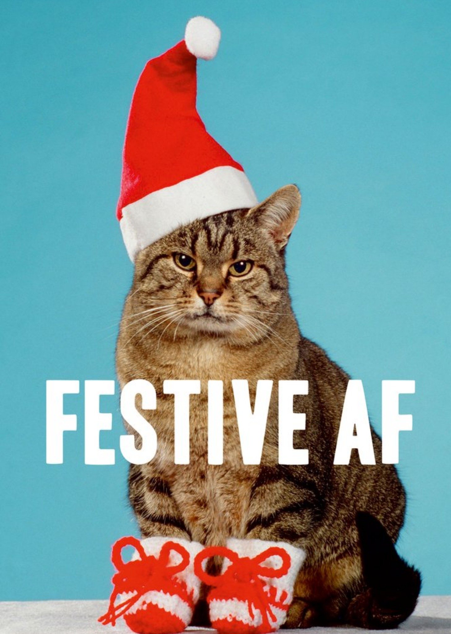 Moonpig Cat With Santa Hat Festive Funny Christmas Card